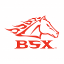 BSX