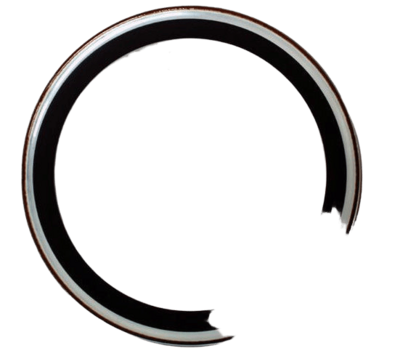Aquarian PF18 Performance II 18