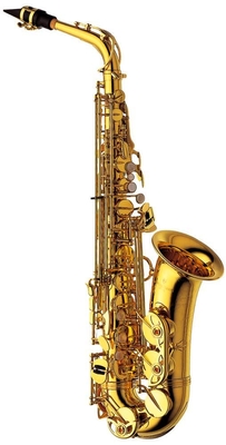 Yanagisawa A-WO1 Alto Saxophone