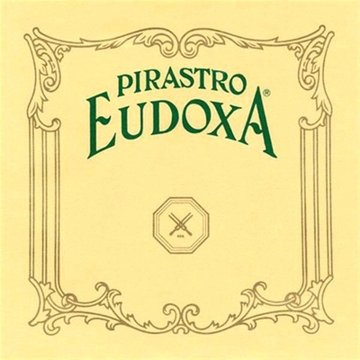 Eudoxa Violin 4/4 1st E-E steel / alu. medium loop