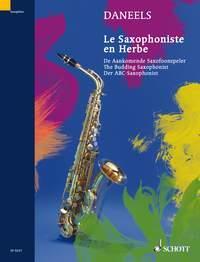 Le saxophoniste en herbe Exercices pour la 1ère année : photo 1