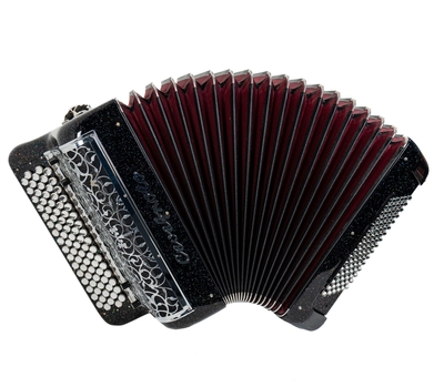 Cavagnolo Compact Special 4 Stimmen 5 Reihen 96 Bässe 5 Stimmen Flöte und Fagott in Cassotto Mit Imac pro Mikrofon