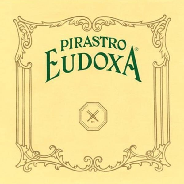 Pirastro Violin EUDOXA 3rd RE-D gut / alu. 16 3/4 PM medium bag : photo 1