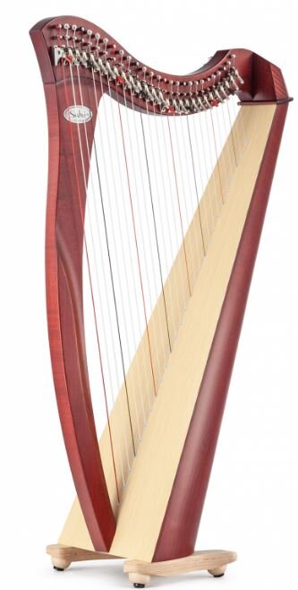 Salvi Juno 27 strings mahogany finish Silkgut : photo 1
