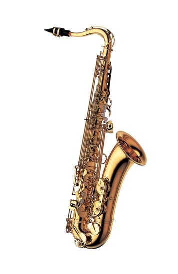 Yanagisawa T-WO1 Tenor Saxophone : photo 1