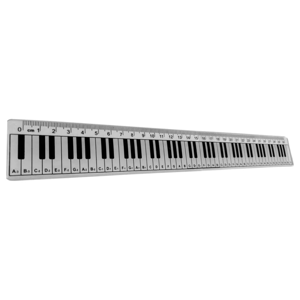 Vienna World Ruler 30cm 88-note keyboard : photo 1