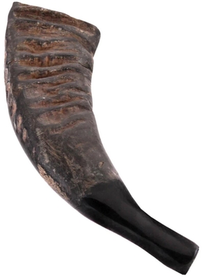 Erde 38640231 Büffelhorn 43 cm