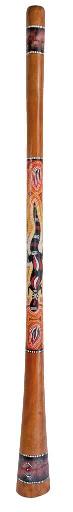 Terre Didgeridoo palissandre  (3814034P) : photo 1