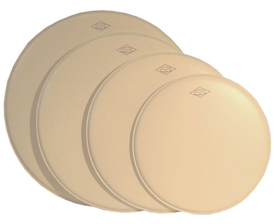 Aquarian MVTM12 Modern Vintage 12