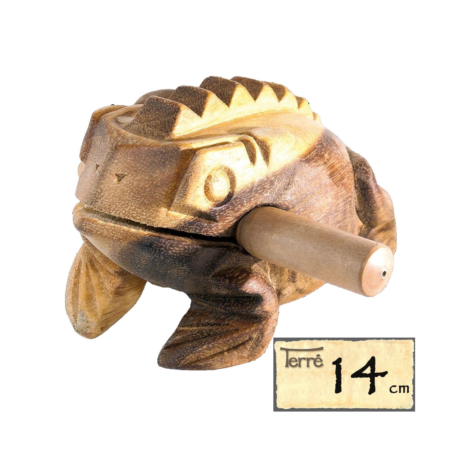 Terre Sound Frog 14cms (38040013) : photo 1