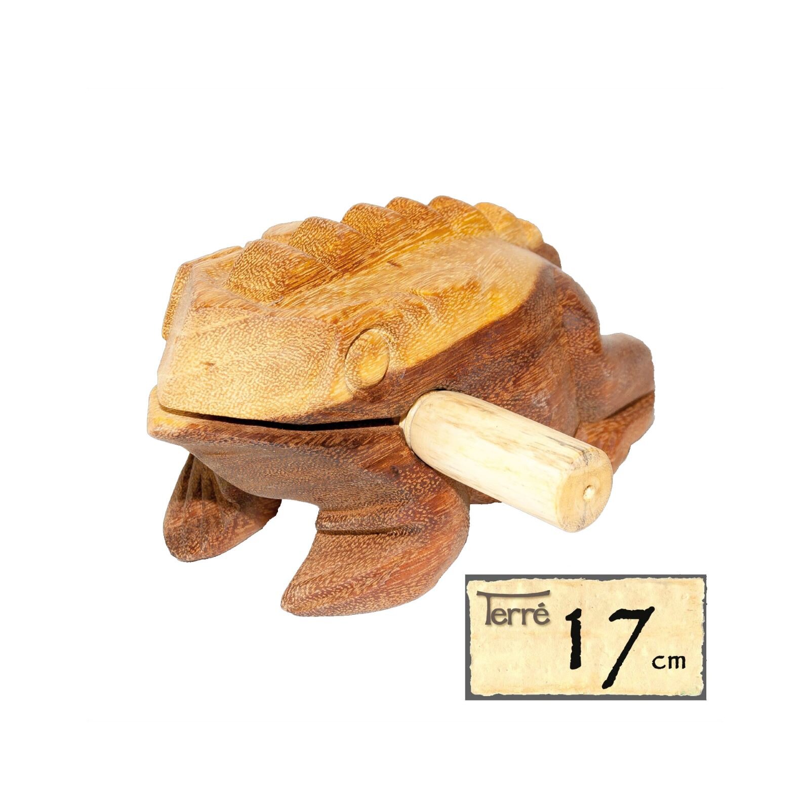 Terre Sound Frog 17cms (38040014) : photo 1