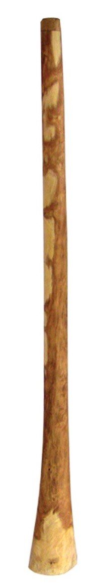 Earth Didgeridoo Ecalyptus Yellowbox Natur 126-140cm : photo 1