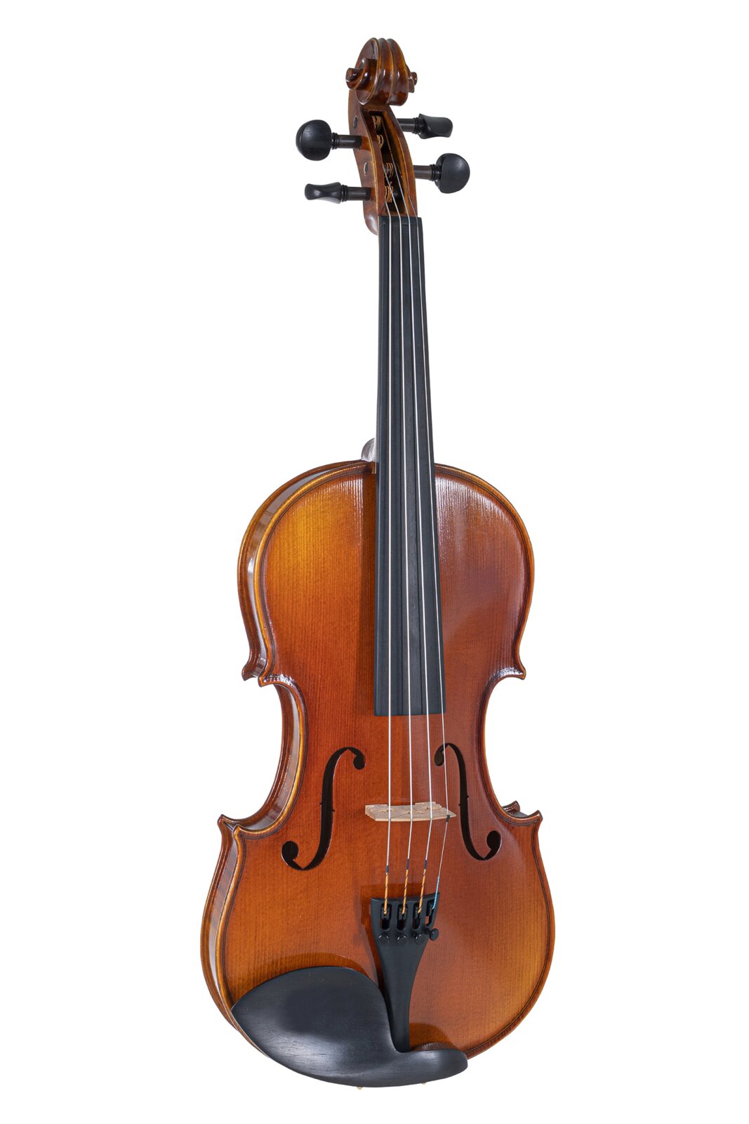 Gewa Violin Set 3/4 Maestro 1 (case, bow, chin rest, bow) : photo 1