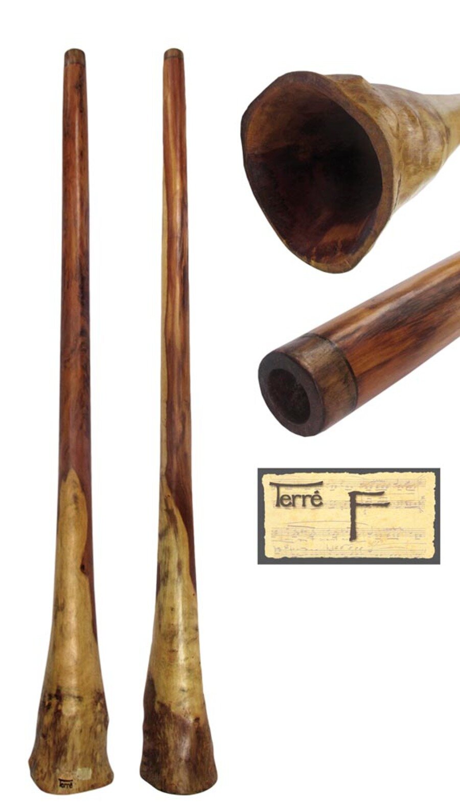 Terre Didgeridoo Proline XL-D en Ré : photo 1