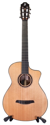 Furch Large Nylon GNc4 CR Lr Baggs