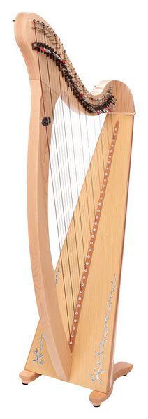 Salvi Donegal 34 maple strings (Karbon / Stahl) : photo 1