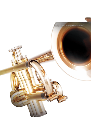 First 50 Songs You Should Play on the Trumpet Trompete Instrumental Folio