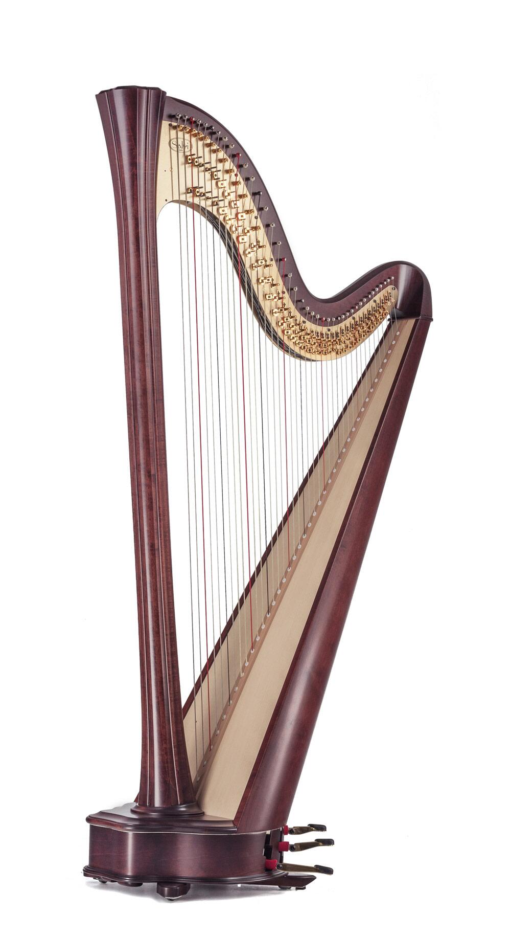 Salvi Daphne 40 strings mahogany gut strings : photo 1