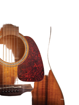 First 50 Folk Songs You Should Play on Guitar Guitare Recueil First 50 (Hal Leonard) Musique traditionnelle