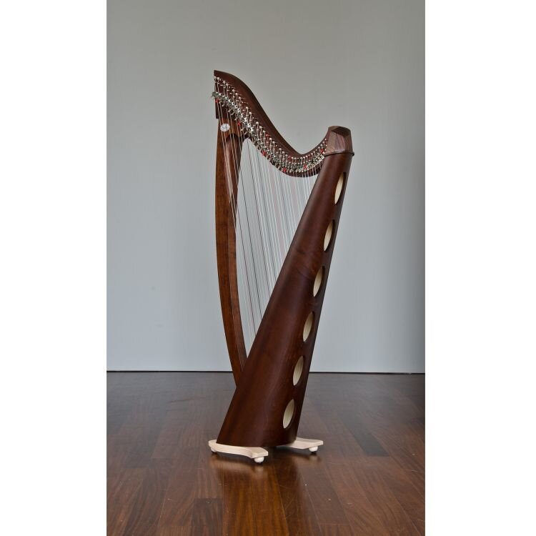 Salvi SALVI Titan harpe celtique Silkgut 