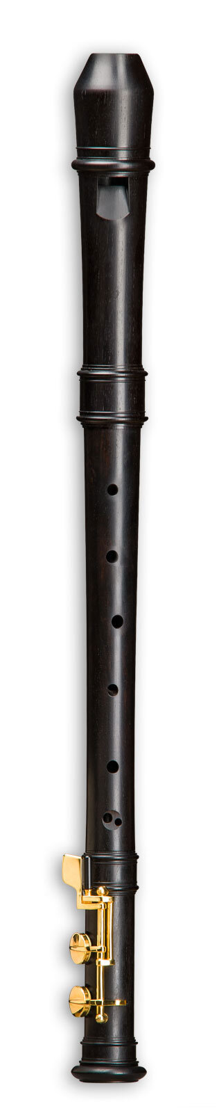 Mollenhauer Moderne Viola Grenadill mit F-Fuß und Doppelklappe F/F Sharp (5924) : photo 1