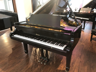 Dietmann D-185, Noir poli-brillant, 185 cm Occasion