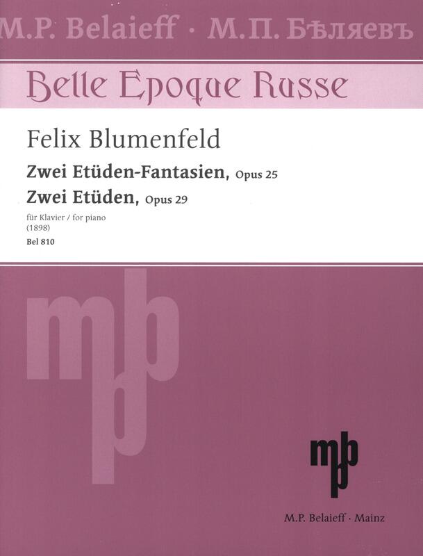 Zwei Etüden-Fantasien - Zwei Etüden op. 25 + 29 für Klavier : photo 1