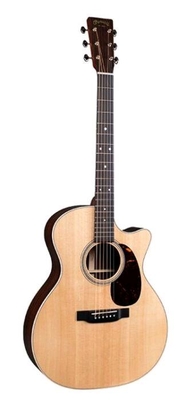 Martin & Co GPC-16E Rosewood