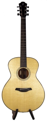 Furch Yellow Plus G SP, Lr Baggs