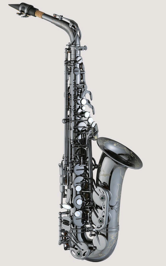 Antigua Saxophone Alto Pro BN : photo 1