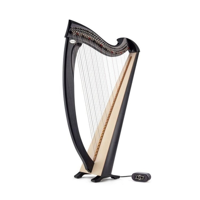 Salvi Una 38 cordes Electro-acoustique : finition Dark-grey Black, cordes en Silkgut Copper et Boyau