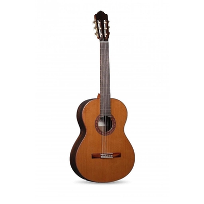 Almansa Guitarras Student 424 650mm table en cèdre massif dos et éclisses en ziricote finition brillante