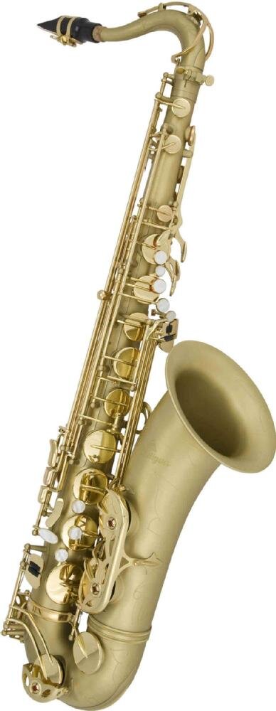 Antigua TS4240 Ténor Pro Classic Brass (Mat) : photo 1