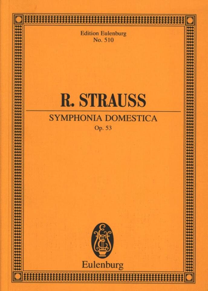 Symphonia Domestica Op. 53 : photo 1