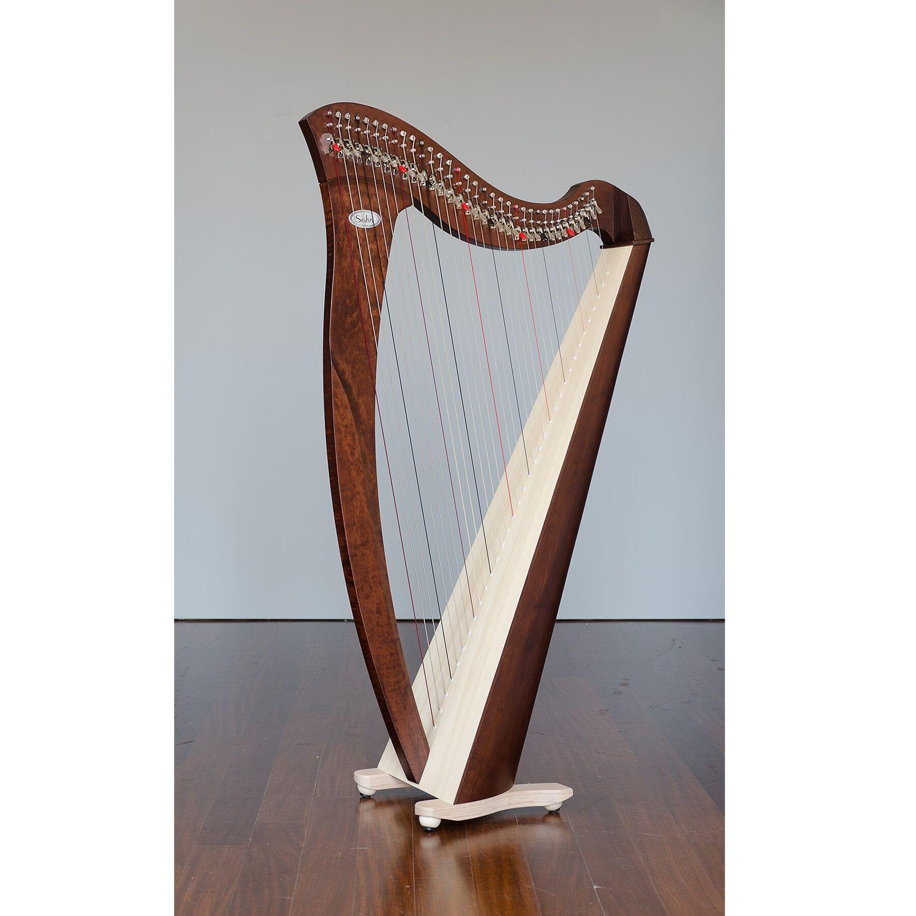 188816-salvi-mia-34-cordes-en-