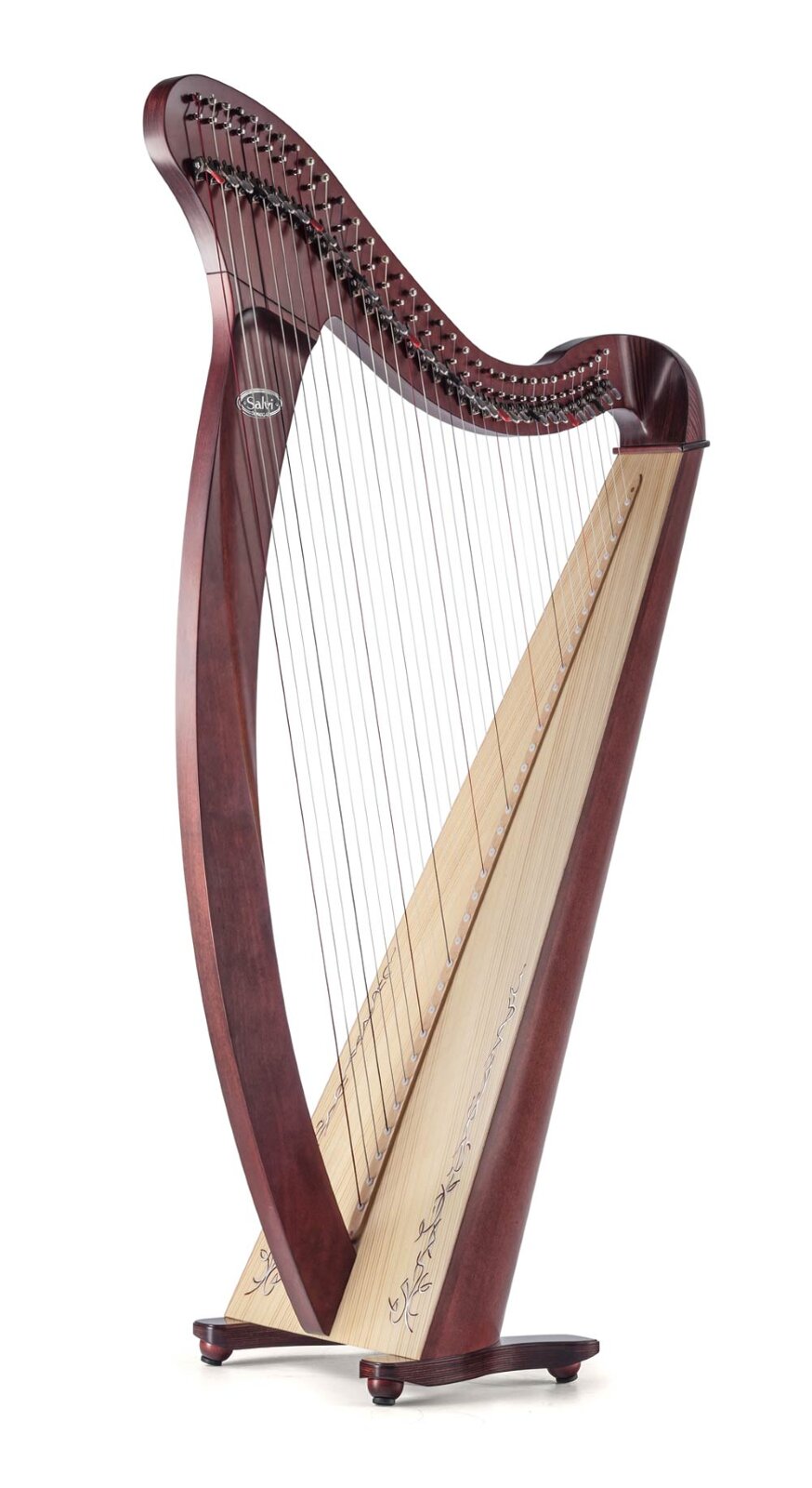 Salvi Donegal 34 gut mahogany strings : photo 1