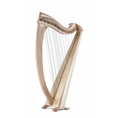Salvi Una 38 cordes : finition Deluxe Erable Naturel, cordes en Silkgut Copper et Boyau