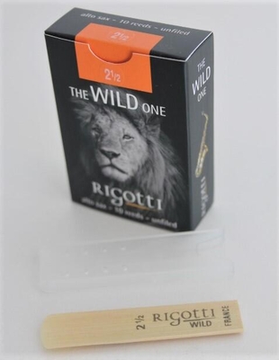 Rigotti Alto Saxophone Wild Jazz 2