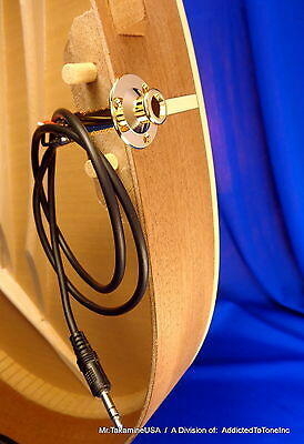 Takamine output socket gold incl. cable