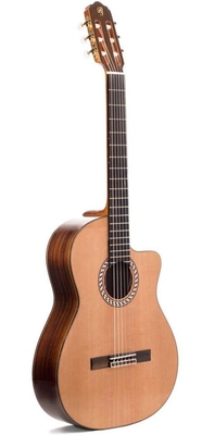 Prudencio Saez PS54 Palosanto Fishman C III