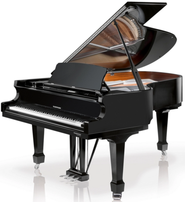 Hoffmann Professional P206 Glossy Black Chrome Finish