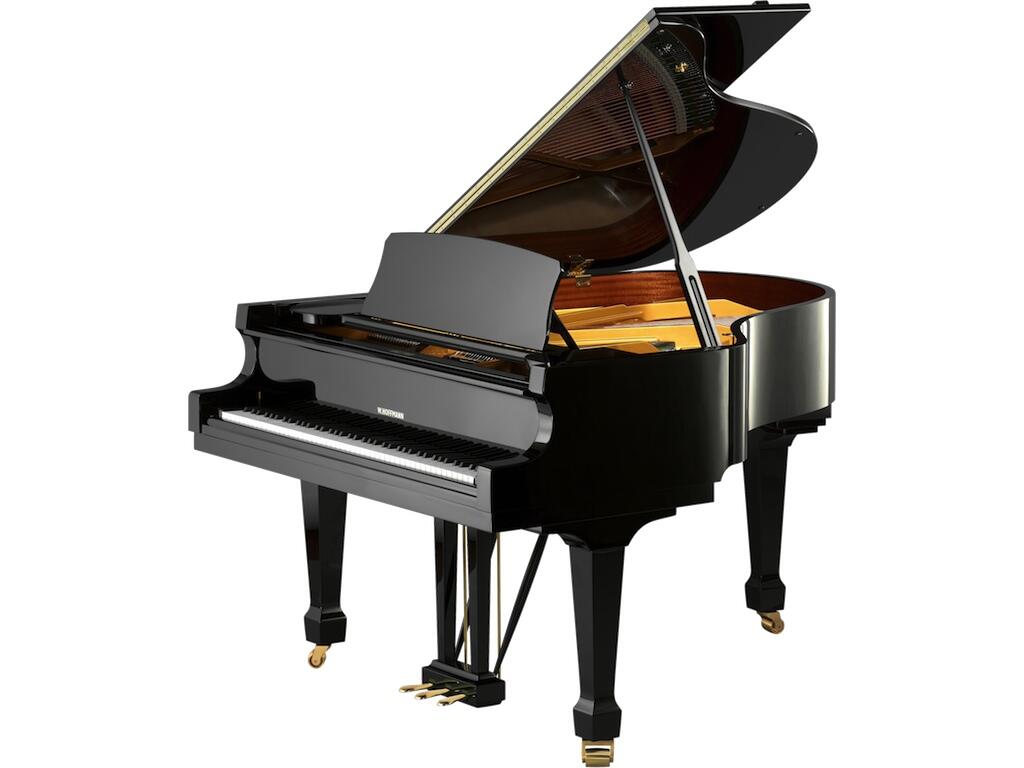 Hoffmann Tradition T161 Glossy black : photo 1
