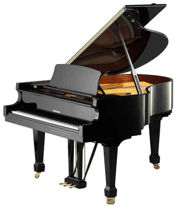 Hoffmann Tradition T186 Glossy black : photo 1