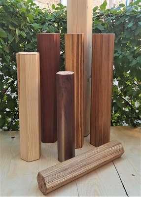 Arbres de pluie Frêne 60 cm / 6 minutes