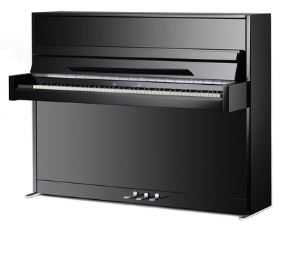 Schimmel W114 Modern Glossy black + Twintone silencer system