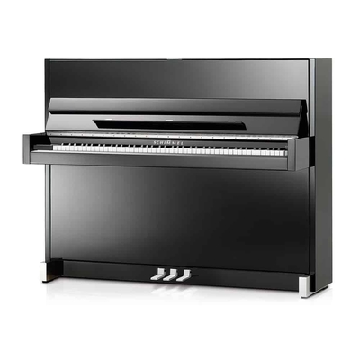 Schimmel C116 Modern Classic Glossy black + TwinTone Schalldämpferanlage