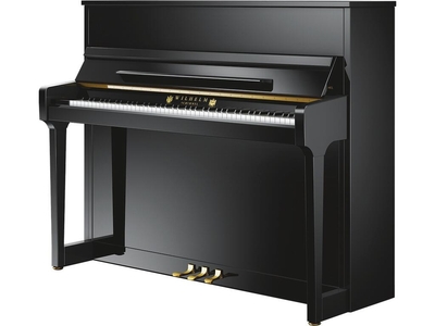 Schimmel W118 Tradition Wilhelm Glossy black + TwinTone silencer system