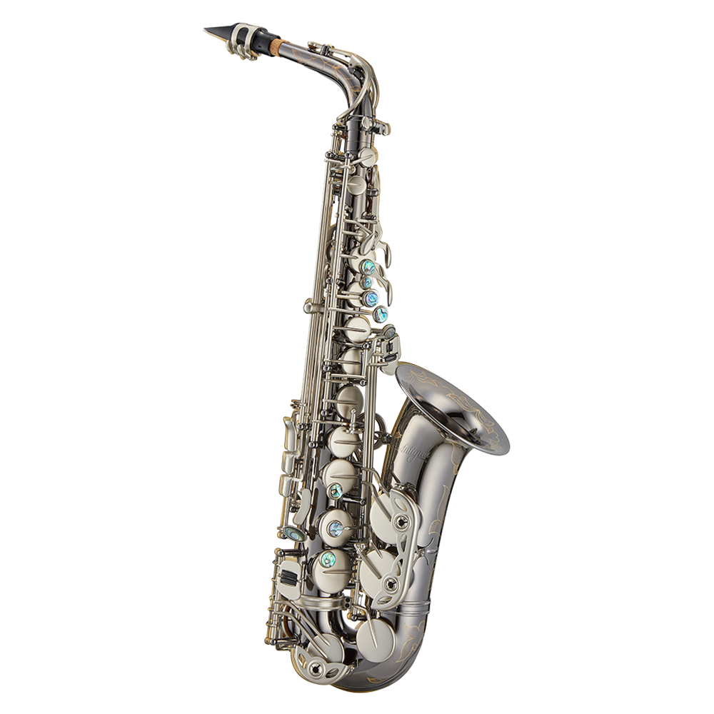 Antigua Saxophone Alto Pro Black Nickel / Clés Nickel mat : photo 1
