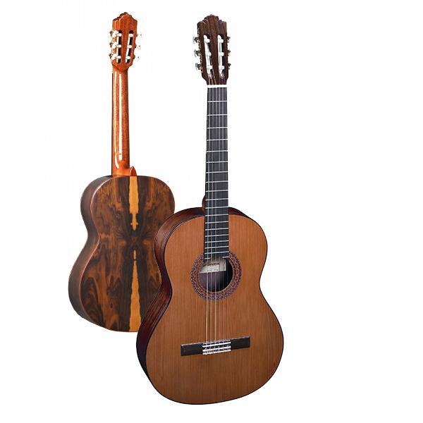 Almansa Guitarras Student 424 sillet 48mm 650mm table en cèdre massif dos et éclisses en ziricote finition brillante