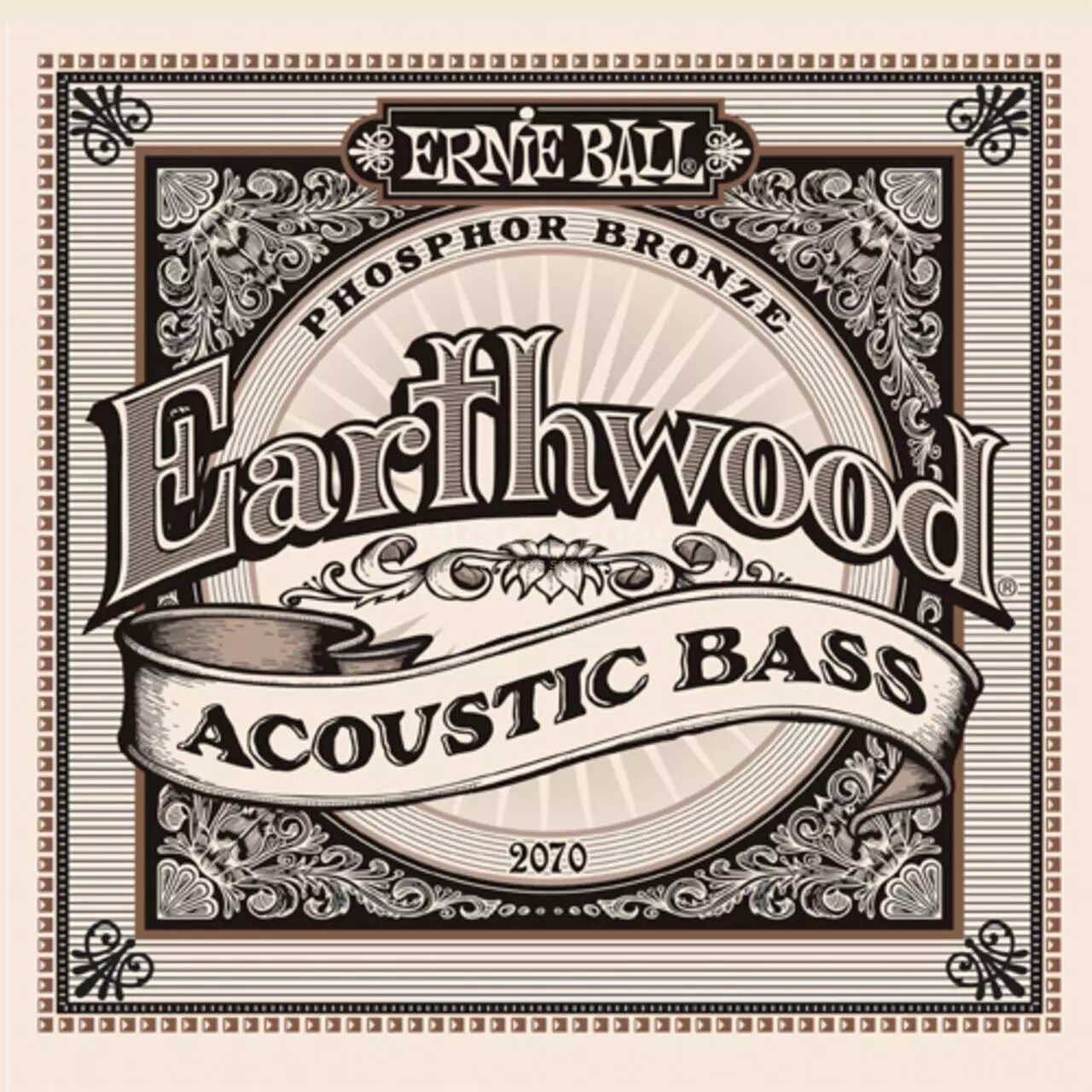 Ernie Ball Basse acoustique, Earthwood, 45-95 : photo 1